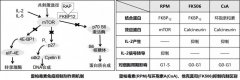 复活节岛的馈赠—雷帕霉素